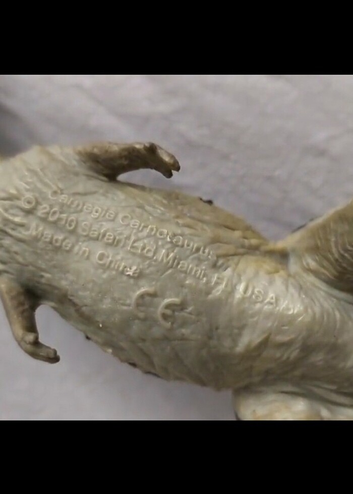 Carnegie carnotaurus  - Görsel 5