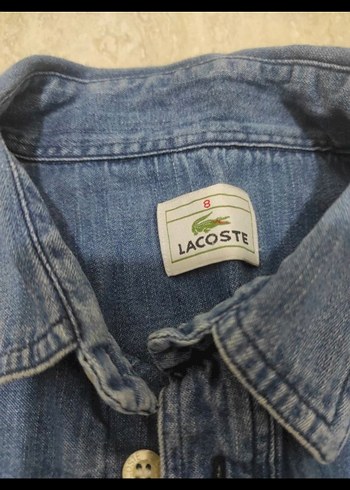 Lacoste kot gömlek - Görsel 2