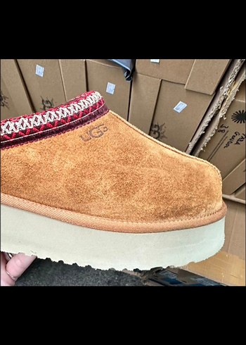 Ugg TAZZ - Görsel 2