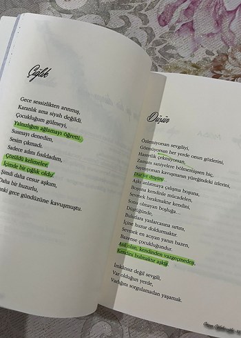 Hayal Et - Orçun Oğlakcıoğlu Roman - Görsel 7