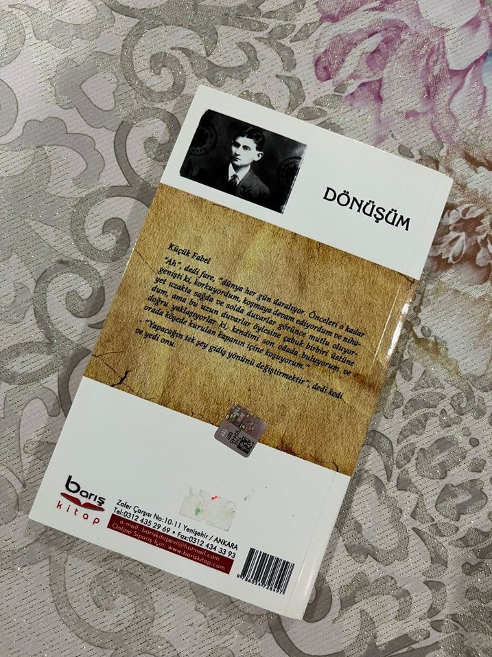 Dönüşüm - Franz Kafka - Görsel 2