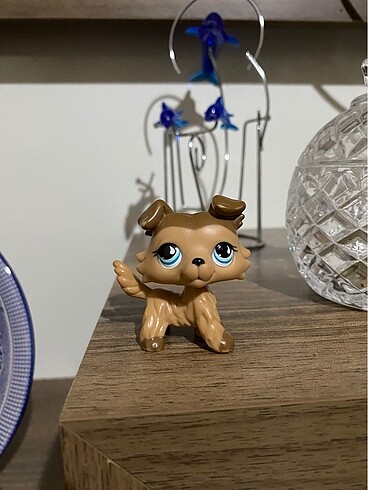 Orjinal Lps Collie Miniş