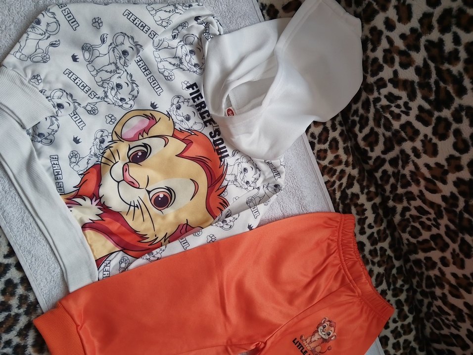 Erkek Kapüşonlu Sweatshirt takım - Görsel 4