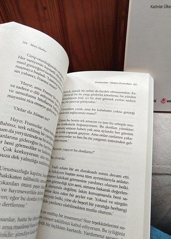 Frankenstein ve Kadınlar Ülkesi Romanları 2'li - Görsel 3