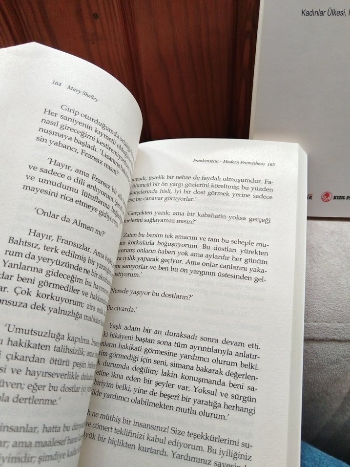 Frankenstein ve Kadınlar Ülkesi Romanları 2'li - Görsel 3