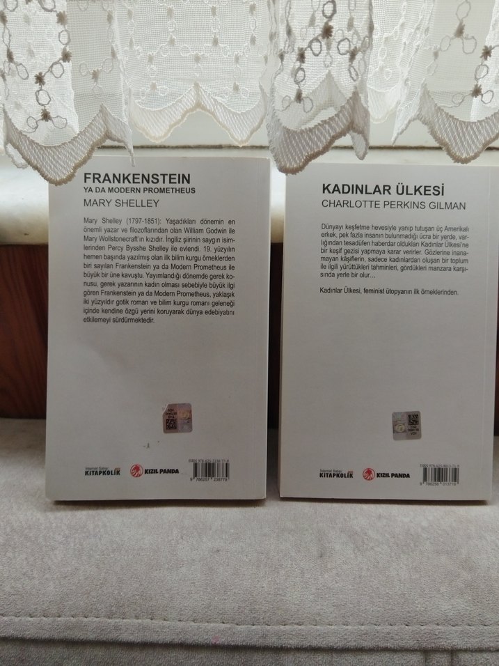 Frankenstein ve Kadınlar Ülkesi Romanları 2'li - Görsel 2