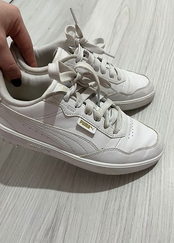 Puma 38