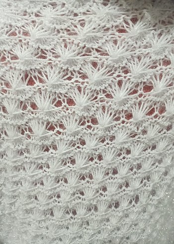 Kadın Beyaz Dantel Detaylı Örgü Şal - Görsel 2