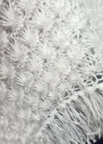 Kadın Beyaz Dantel Detaylı Örgü Şal - Görsel 5