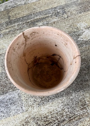 Antika Çini - Görsel 5