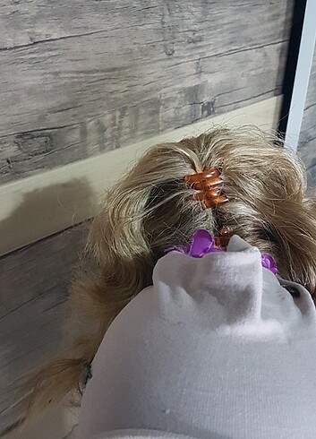 Rüfleli at kuyruğu dağınık model - Görsel 6