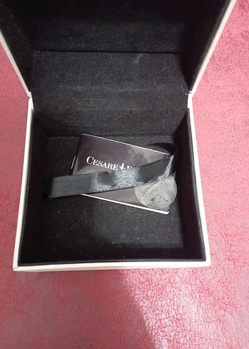 Cesera Pacıotti - Görsel 7