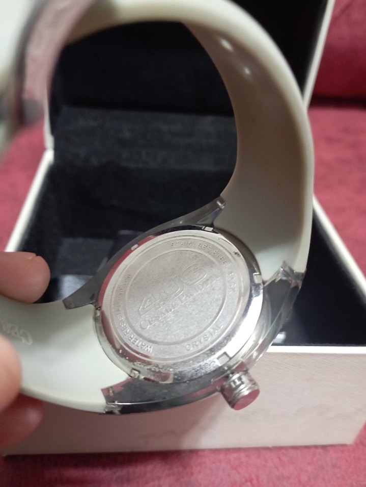 Cesera Pacıotti - Görsel 3