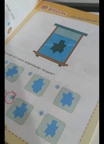  Beden Renk Bilsem seti