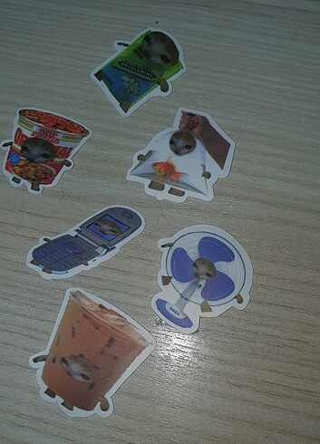 Şaka kedi eşya şeklinde stickers stıcker etiket