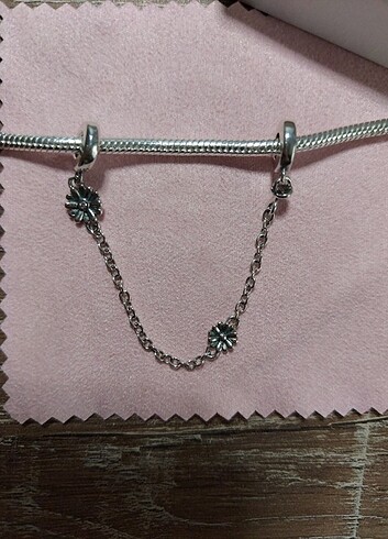 Diğer Pandora Charm
