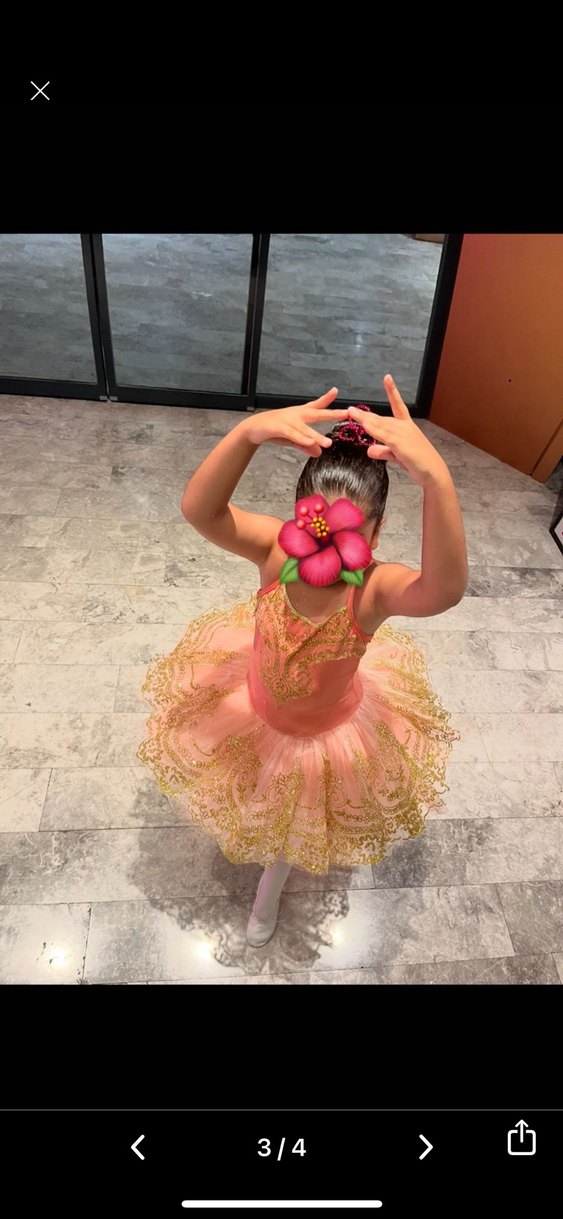 Pudra rengi işlemesi gold Kız Çocuk bale kostümü - Görsel 3
