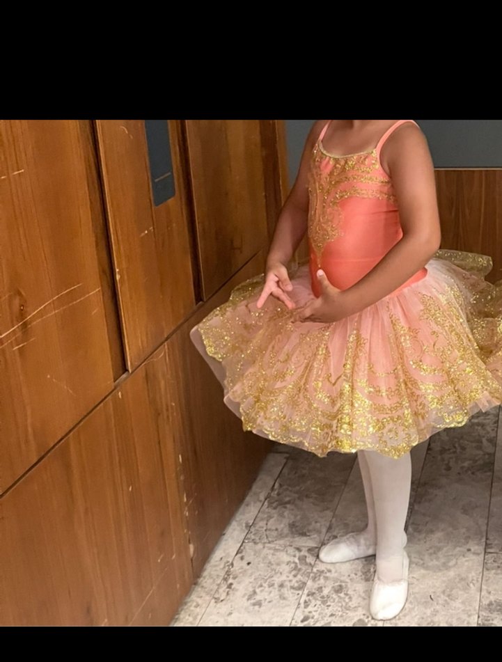 Pudra rengi işlemesi gold Kız Çocuk bale kostümü - Görsel 4