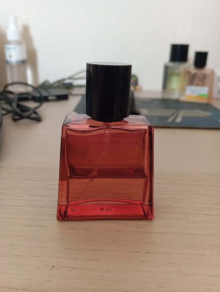 Chanel Bleu De Chanel Erkek Parfümü 10,5 ml - Görsel 2