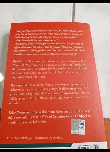 Şeker portakalı