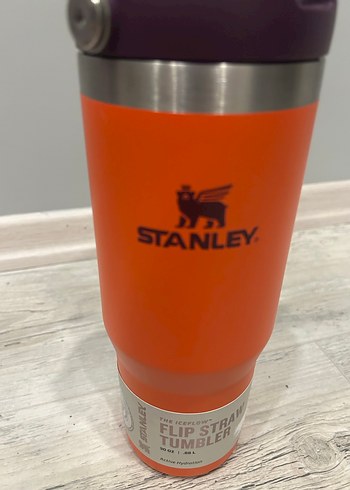 Stanley Renkli Çocuk Termos Şişesi - Görsel 3