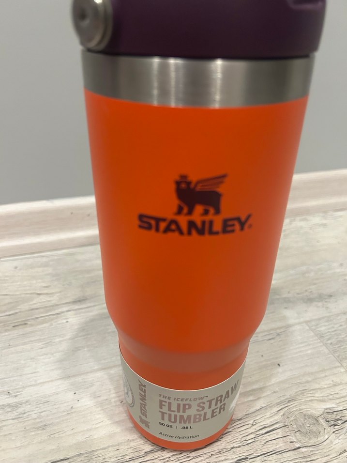 Stanley Renkli Çocuk Termos Şişesi - Görsel 3