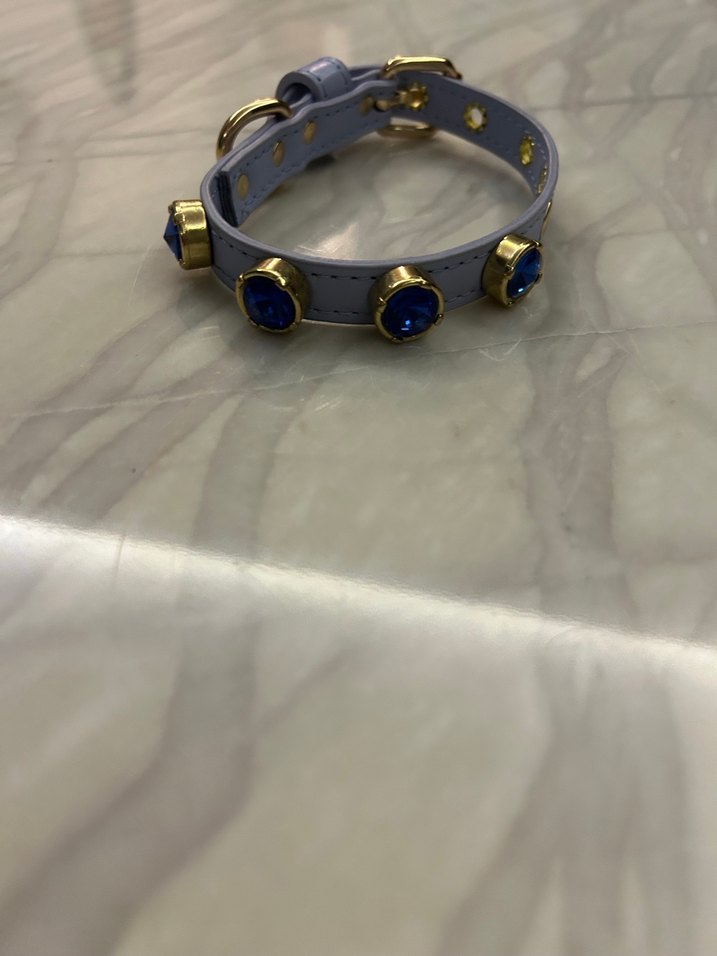 Renkli Bağlamalı köpek tasmalar - Görsel 5