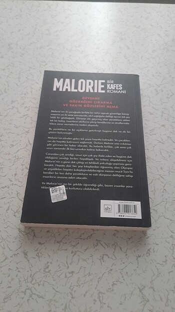  Josh melerman malorie (kafes romanı devamı)