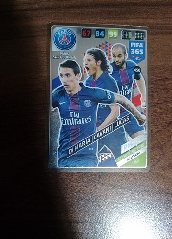 Panini orjinal futbolcu kartı 