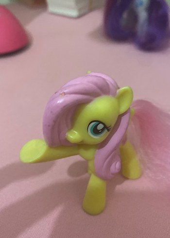  My little pony fluttershy