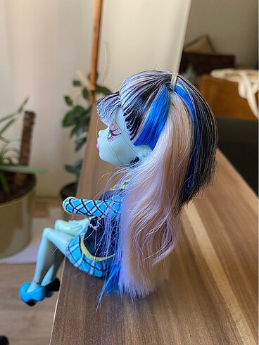 Beden Renk Monster high frankie stein