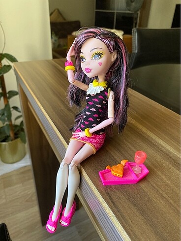 Monster high draculaura