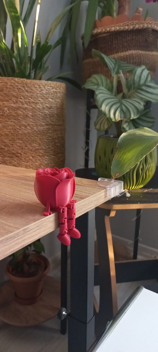 Kırmızı Gül Figürlü Oturan Dekor - Görsel 4