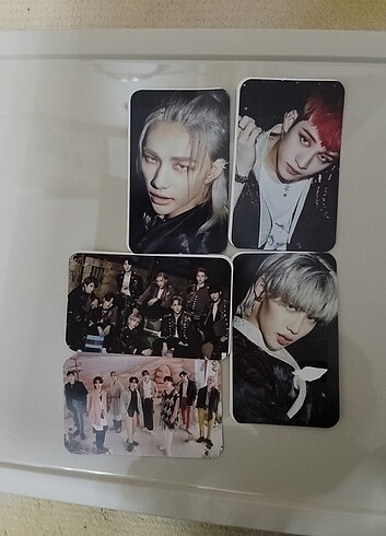 STRAYKİDS FOTOKART 