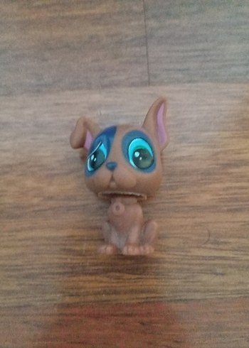 LPS köpek miniş