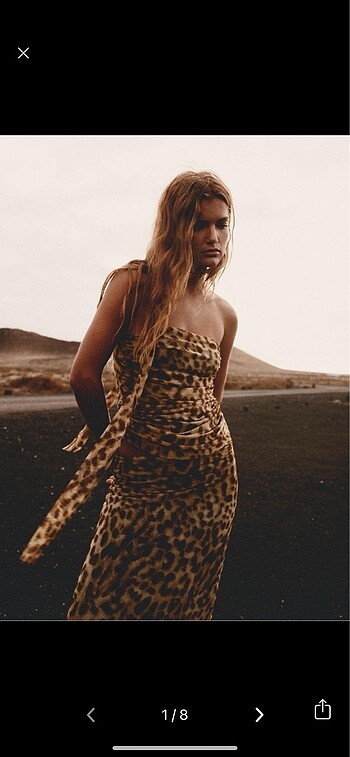 zara leopar top