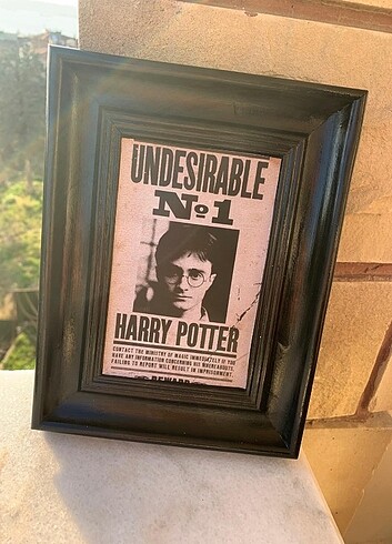 Harry Potter serisi 