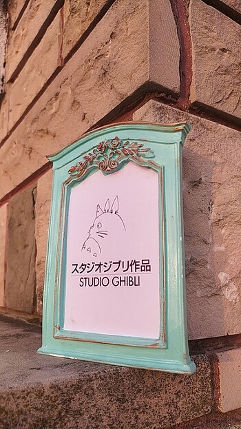  Beden turkuaz Renk Totoro 5