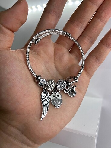 Pandora Çelik Silver Pandora Charmlı