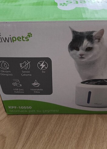 Kiwi pets su çeşmesi 