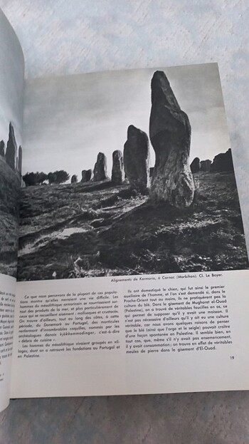  Beden Renk Histoire Universelle 