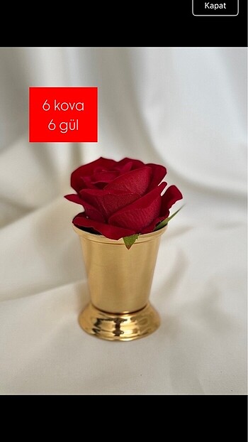 6 lı gül ve gül kovası