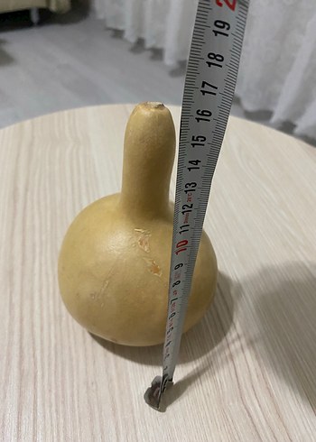 Beden camel Renk SÜS KABAĞI