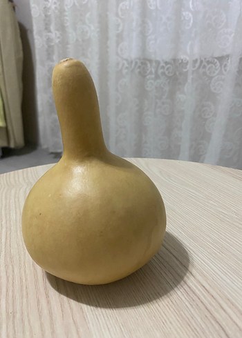 SÜS KABAĞI