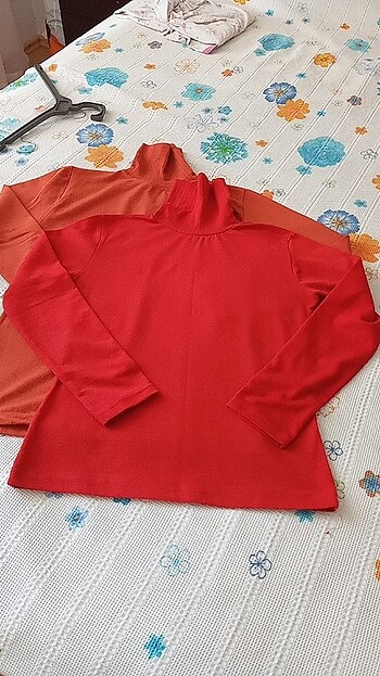 Boyunlu kazak