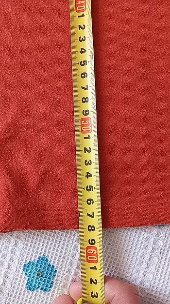 Boyunlu kazak - Görsel 5