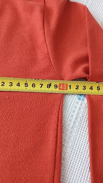 Boyunlu kazak - Görsel 6