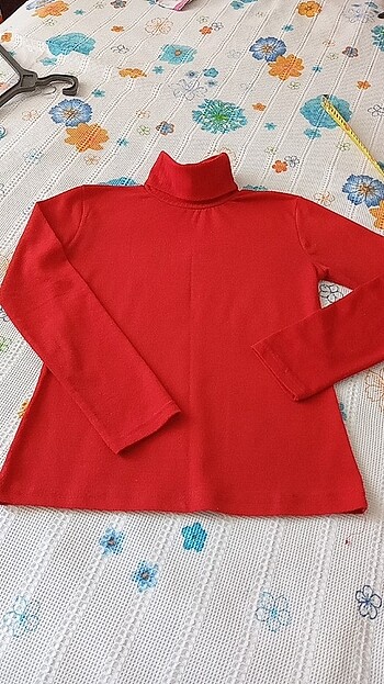 Boyunlu kazak - Görsel 7