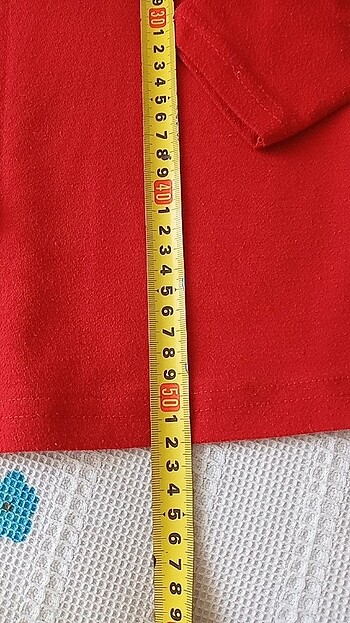 Boyunlu kazak - Görsel 8