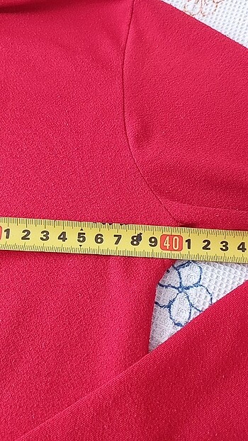 Boyunlu kazak - Görsel 9